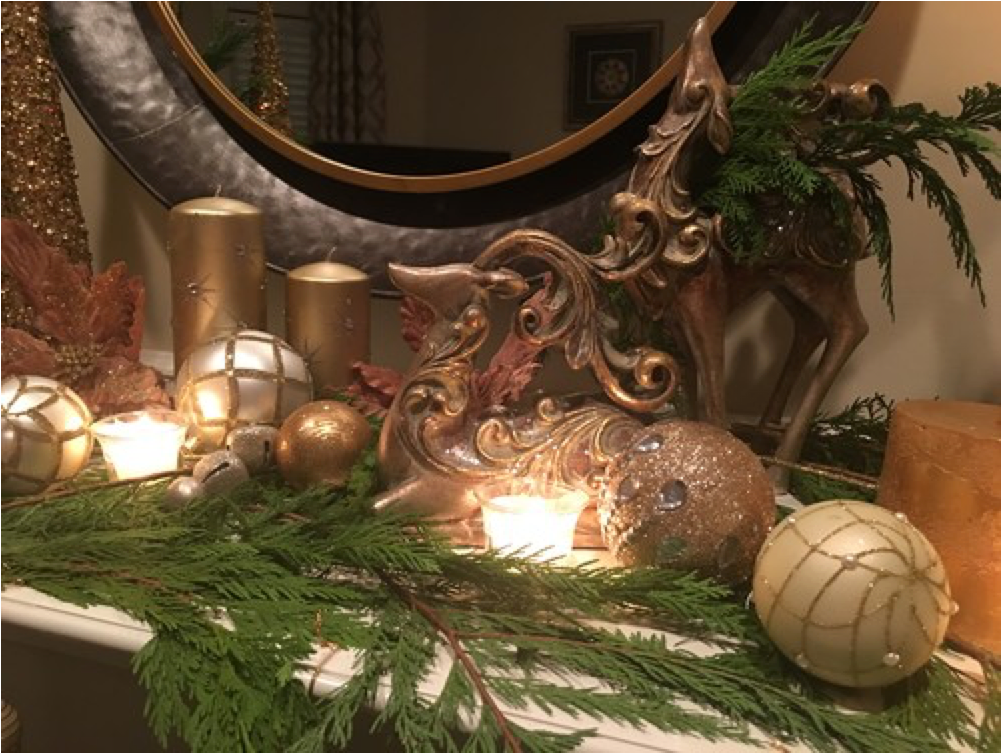 Our Free Hanging Shelf Bracket Can Do SO MANY Things!